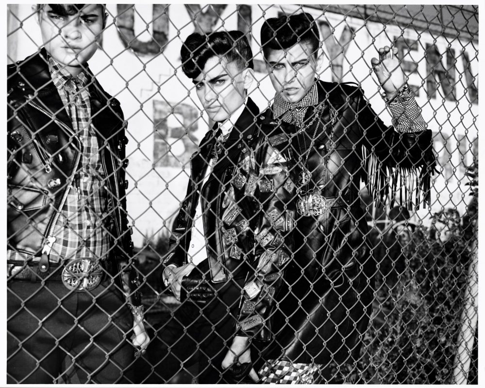 TEDDY BOYS
