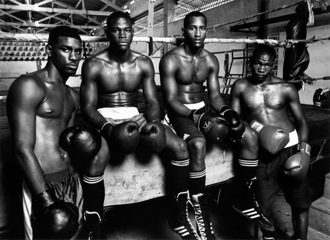HAVANA BOXING CLUB
