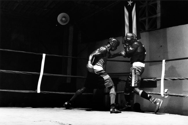 HAVANA BOXING CLUB