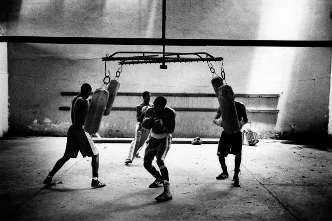HAVANA BOXING CLUB