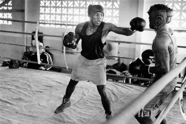 HAVANA BOXING CLUB