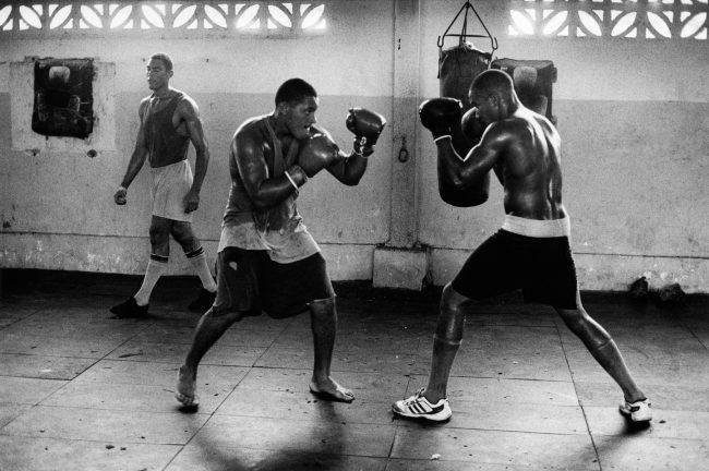 HAVANA BOXING CLUB