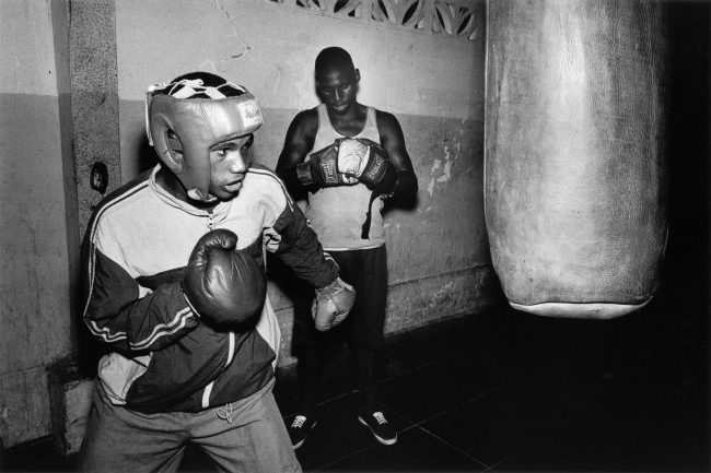 HAVANA BOXING CLUB