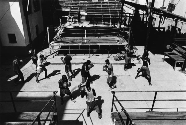 HAVANA BOXING CLUB