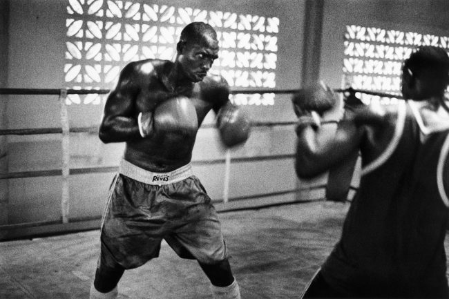HAVANA BOXING CLUB