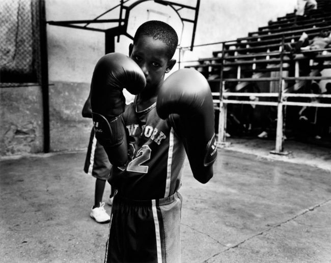 HAVANA BOXING CLUB