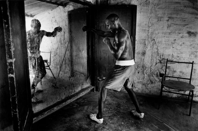 HAVANA BOXING CLUB